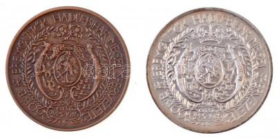 Tóth Sándor (1933-) 1985. "MÉE Hajdú-Bihar Megyei szervezete / Apangyalfalvi Apafi Mihály"...