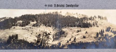 1918 Románia, Kárpátok, Bitca Neagra, Artsei Dandelilor katonai panorámafotó / military photo. 90 x1...