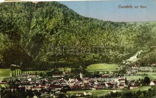 1919 Slovenske Konjice, Gonobitz; Gora / general view, mountain