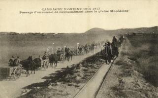 1917 Campagne d'Orient 1914-17, Passage d'un convoi de ravitaillement dans la plaine Macédoine / WWI military, supply convoy in the Macedonian plains