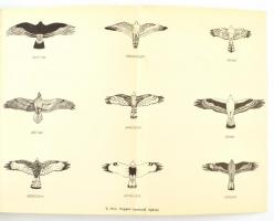 Vadgazdálkodási és vadászati alapismeretek. Írták: Bencze Lajos, Bertóti István, Csöre Pál, Görcsös ...