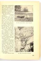 Vadgazdálkodási és vadászati alapismeretek. Írták: Bencze Lajos, Bertóti István, Csöre Pál, Görcsös ...