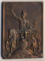 1935. "UTE-50 év" szögletes Br emlékplakett. Szign.Martinelli J. T:2