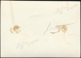 cca 1930 Kinszki Imre (1901-1945) budapesti fotóművész hagyatékából, jelzés nélküli vintage fotó (Ke...