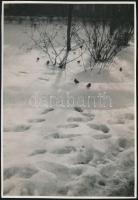 cca 1932 Kinszki Imre (1901-1945) budapesti fotóművész pecséttel jelzett vintage fotóművészeti alkotása (Élelmet kereső madarak), 16,5x11,3 cm