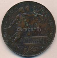 Beck Ö. Fülöp (1873-1945) 1896. "1896-iki Ezredéves Országos Kiállitás / Kiállítási Érem az Érd...