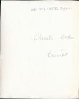 cca 1932 Kinszki Imre (1901-1945) budapesti fotóművész pecséttel jelzett vintage fotóművészeti alkot...