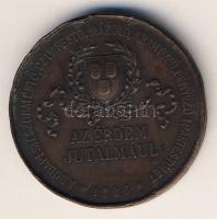 1886. "Budapesti Szobafestő, Czimfestő, Mázoló, Aranyozó, Fényező Ipartestület-Az érdem jutalmául" Br emlékérem T:2 ph.