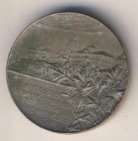 Cca Századforduló DN "Hauszmann Alajos Műépítész, tanár" fém emlékérem T:2