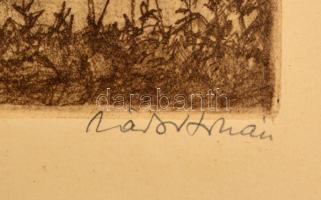 Zádor István (1882-1963): Visegrád. Rézkarc, papír, jelzett, 24,5×35 cm