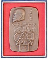 1974. "Ganz Műszer Művek 1949-1974" Br plakett eredeti dísztokban (63x95mm) T:1-