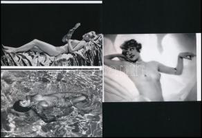 Csinos hölgyek, szolidan erotikus fényképeken, 13 db mai nagyítás, 15x10 cm