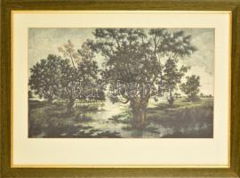 Jelzés nélkül: Vízparti fák. Színezett rézkarc, papír, jelzett, üvegezett keretben, 29×49 cm