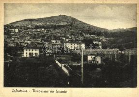 Palestrina, Panorama da levante / general view (15 cm x 10,5 cm) (fl)