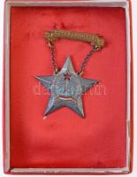 1953. Sztahanovista zománcozott fém kitüntetés, hátlapon gravírozott M/87 sorszámmal, kopottas dísztokban T:2
