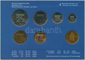 Hollandia 1993. 5c-5G (6xklf) + "Limburg" emlékérem forgalmi sor karton dísztokban T:1 Net...