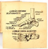 Cipészipari ismeretek. Összeállította: Az ipari szakkönyvtár szerkesztőbizottsága. Ipari szakkönyvtá...