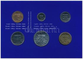 Hollandia 2000. 5c-5G (6xklf) forgalmi sor karton dísztokban T:1 Netherlands 2000. 5 Cents - 5 Gulde...