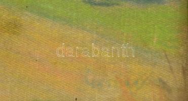 Olvashatatlan jelzéssel: Arborétum. Vegyes technika, vászon-karton, üvegezett keretben, 26×37 cm