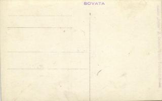 Szováta, Sovata; legelő juhnyáj / flock of sheep. photo. Atelier "Helios" M. Gebauer