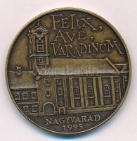 Lebó Ferenc (1960-) 1995. "Nagyvárad - Szent László halálának 900. évfordulója" Br emlékérem (42,5mm) T:1-