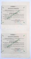 Budapest 1943. Ganz és Társa Villamossági, Gép-, Waggon- és Hajógyár (2x) névre szóló részvényelismervénye 25P értékű részvényről, kézi aláírással T:III