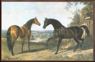 Galopplovak, 3 db nyomat, 31×22 és 37×24 cm