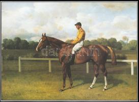 Galopplovak, 3 db nyomat, 31×22 és 37×24 cm