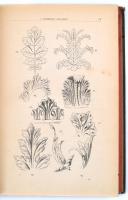 Benczúr Béla: A művészi ipar és decoratív művészetek stíltana. Képzőművészek, rajztanárok, műiparoso...