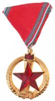 1974. Tűzbiztonsági Érem arany fokozata zománcozott, aranyozott Br kitüntetés mellszalagon T:1-  NMK 564.
