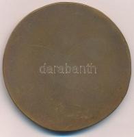 1984. "1884 Pallas Nyomda - Kossuth Nyomda 1984" egyoldalas, öntött Br emlékérem, eredeti ...