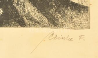 Czinke Ferenc (1926-2000): Madách Imre. Rézkarc, papír jelzett, üvegezett keretben, 29×19 cm