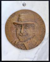 Végh Attila: Hetzel Henrik 1875-1949. Bronz plakett. Jelzett d: 21 cm. Fehér márvány lapon 32x25 cm