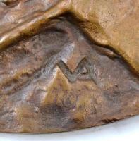 Végh Attila: Hetzel Henrik 1875-1949. Bronz plakett. Jelzett d: 21 cm. Fehér márvány lapon 32x25 cm