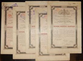 1881. 1000Ft járadékkölcsön (10x) bennük 3klf német szignettával (klf színvariánsokban) + cseh érvényesítő bélyegzővel