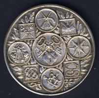 1800-as évek vége DN "Jeles inasmunkáért a szorgalom jutalmazása" Ag emlékérem 20g T:P ph.