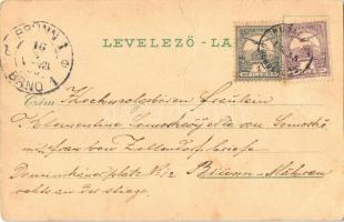 1900 Léva, Levice; Főgimnázium, várrom. Schwidernoch Károly kiadása / grammar school, castle ruin. A...