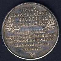 1800-as évek vége DN "Jeles inasmunkáért a szorgalom jutalmazása" Ag emlékérem 20g T:P ph