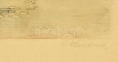 Paulovits Pál (1892-1975): Utolsó levelek, Tabán. Színezett rézkarc, papír, jelzett, üvegezett keret...