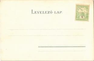 Budapest II. Császár és Lukács fürdő, gőzhajó a Dunán. litho  (fa)