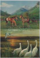 4 db MODERN dimenziós 3D képeslap / 4 modern dimensional 3D postcards