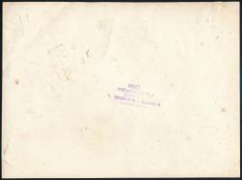 cca 1920-1940 3 db régi nagyméretű fotó, kettőn csoportképekkel, az egyik hátoldalán pecséttel, 22x1...