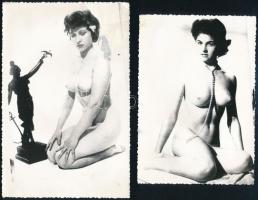 cca 1960-1980 4 db akt fotó, 20x13 cm és 14x9 cm közötti méretben+ 1 db nagyméretű hölgyet ábrázoló ...