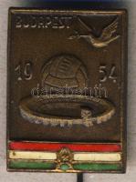 1954. "Sváci labdarúgó vb" résztvevői kitűző, zománcozott Br T:2