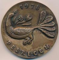 1978. "Debrecen / Hortobágytól Sárrétig" Br plakett (77mm) T:2