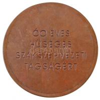 DN "A NYOMDA-, A PAPÍRIPAR ÉS A SAJTÓ DOLGOZÓINAK SZAKSZERVEZETE" egyoldalas Br plakett, h...