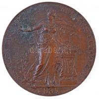 Schwartz István (1851-1924) 1885. "Országos Általános Kiállítás Budapesten 1885 / Deutsch Jánosnak Budapest - Az érdem jeléül - Bossányi Rudolfnak - Lontó" Br emlékérem (65mm) T:2 ph.