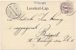 1899 Kecskemét, Városháza, piac, Gyenes S. Fiai, Harkay József üzlete