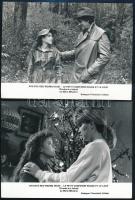 Mészáros Márta: Piroska és a farkas c. film 5 db filmfotó 18x13 cm