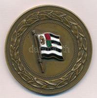 1935. "N.H.E. (Nemzeti Hajós Egyelet(?)) Házi verseny 1935" zománcbetétes Br sport emlékérem, "Berán N. Bpest" gyártói jelzéssel (45mm) T:2